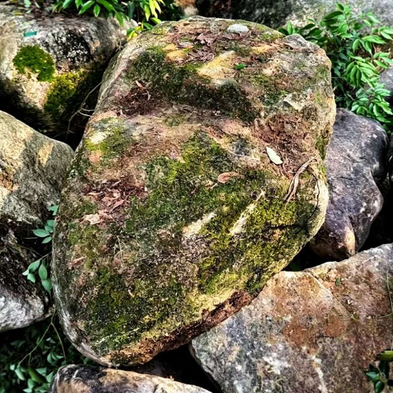 Wild Mountain Stone
